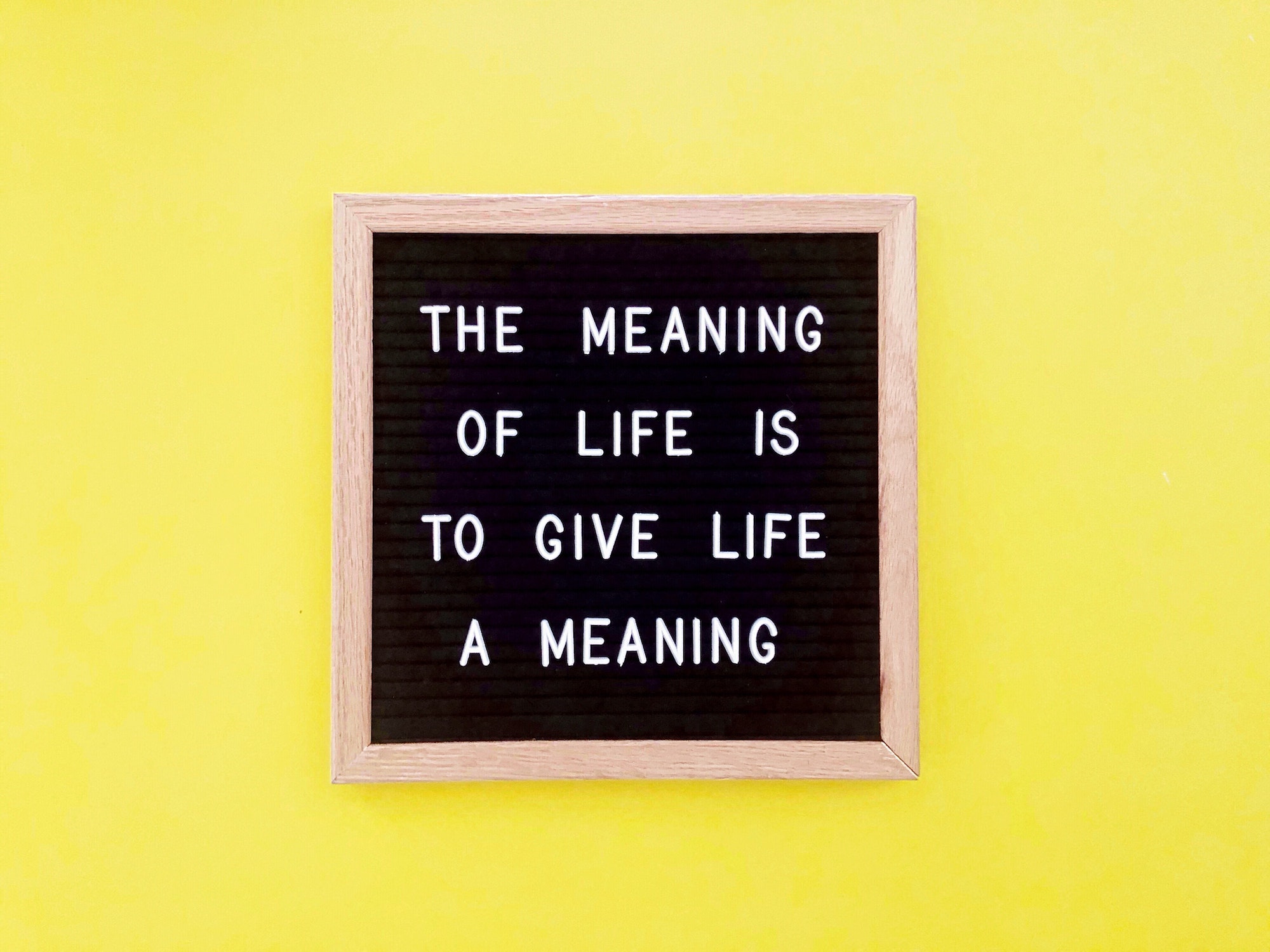 The meaning of life is to give life a meaning